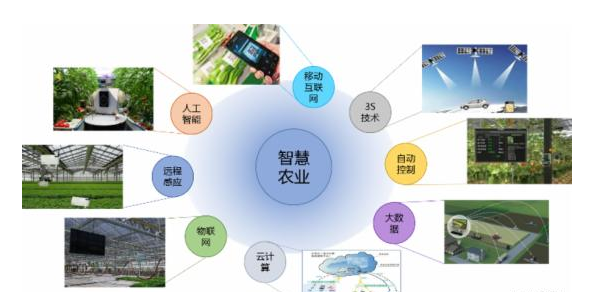 广东出台"互联网"现代农业行动计划