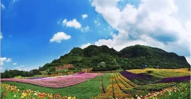 浪漫七夕 花田酒地请女票免票漂还有大礼相送哦