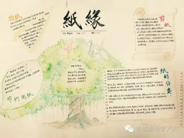 【手抄报】c,d组作品精彩呈现,探索纸张的神秘世界!