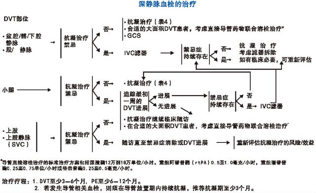 医院内静脉血栓栓塞症防治和管理体系