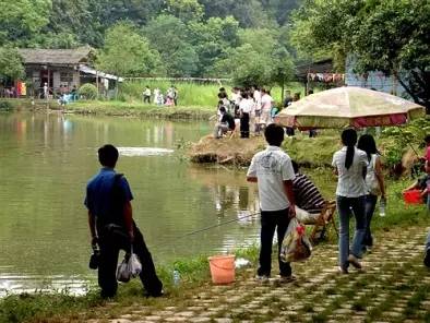 大王滩花坪寨果园山庄