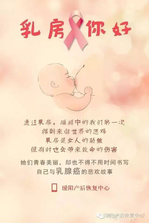 献给女性们——乳房,您好!