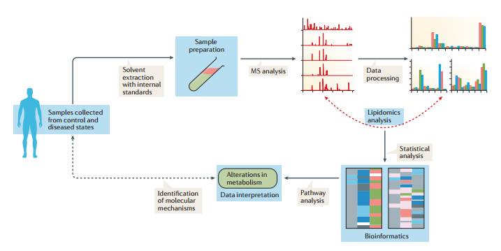 nature子刊发表脂质组学研究综述