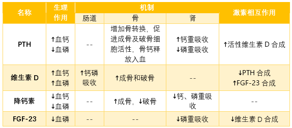 傻傻搞不懂的钙磷代谢0202一页手册0202协和八