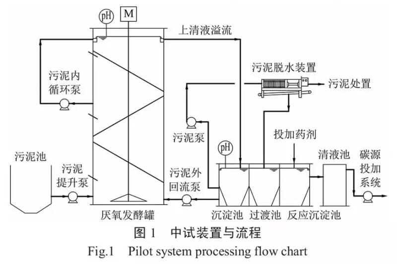 城市污水厂剩余污泥厌氧发酵产酸中试综合分析