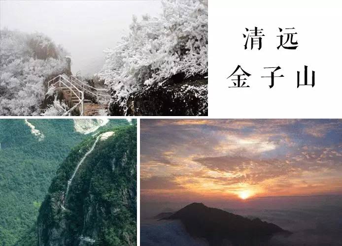 地址:广东省国营连山林场金子山省级生态