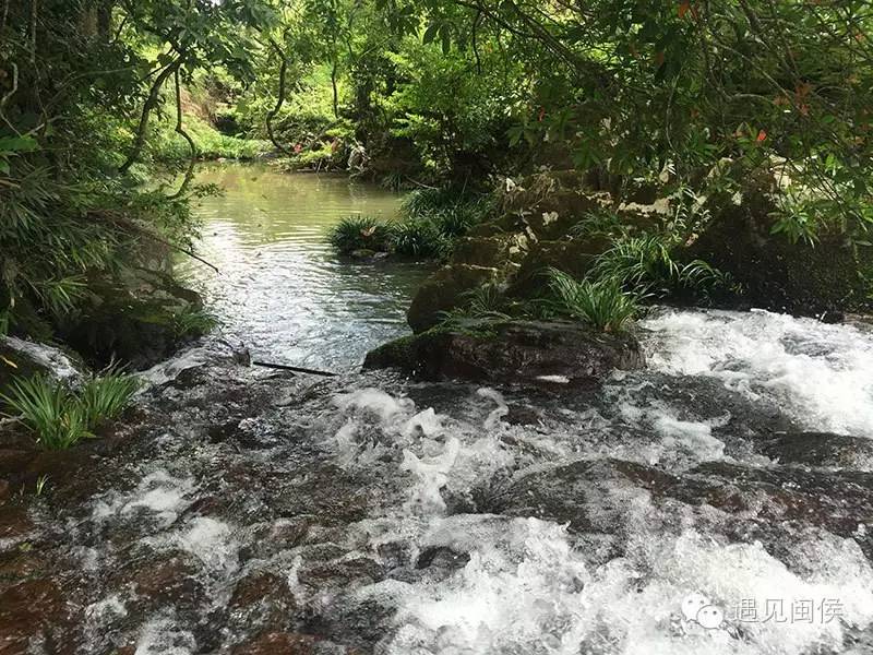 【一村一故事】竹岐溪南村:以溪水之名,享岁月美好