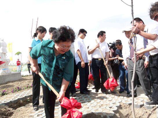 九龙生态园:彰显生命的价值