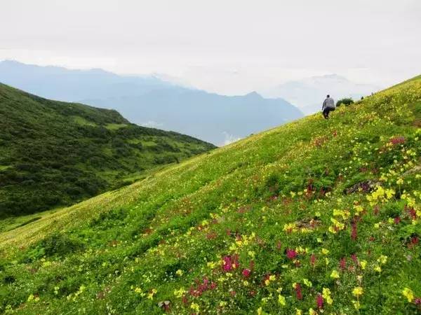 九顶山