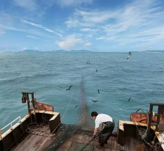 出海捕鱼招聘_千岛湖钓鱼岛(3)