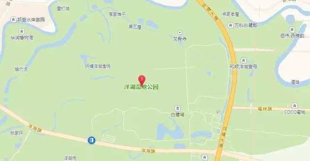 湘江新区:洋湖湿地公园三期,八方公园,联江公园(一期),长沙儿童公园.