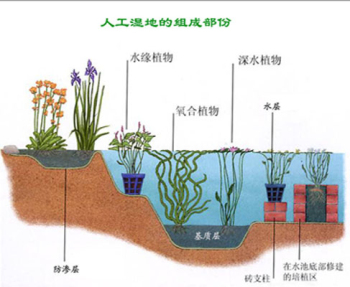 人工湿地净水 武汉农村污水处理零排放