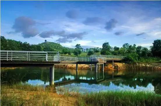 深圳坪山有个全国最大的湿地公园,你来过吗?