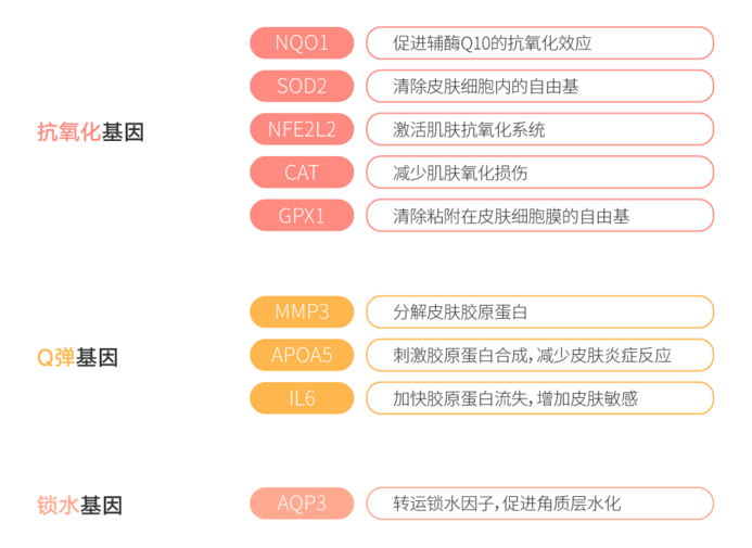 基因检测招聘_临泉达安基因检测服务中心招聘业务员