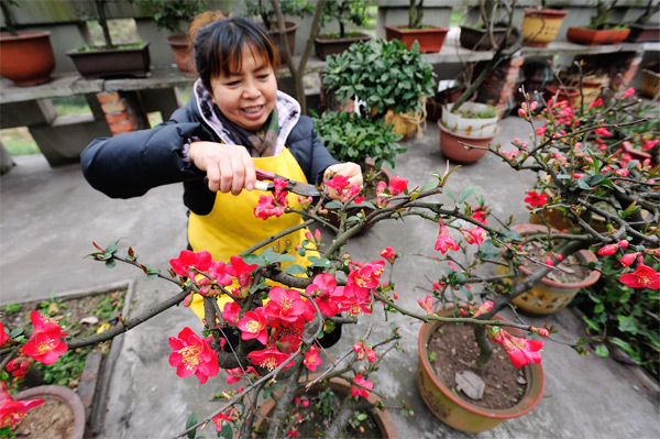 博鱼app下载金川植物园园林工人正在修剪花草(图1)