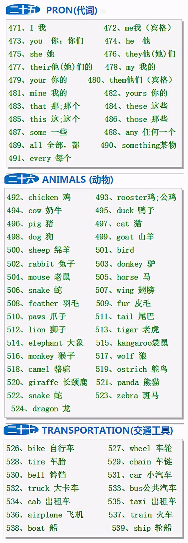 6年级英语单词