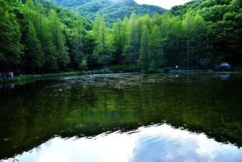 这里山高林密,竹林婆娑,碧水长流,鸟语花香,让人心情舒畅,流连忘返.