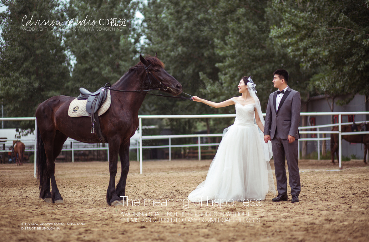 骑马的婚纱照_婚纱照骑马图像(2)