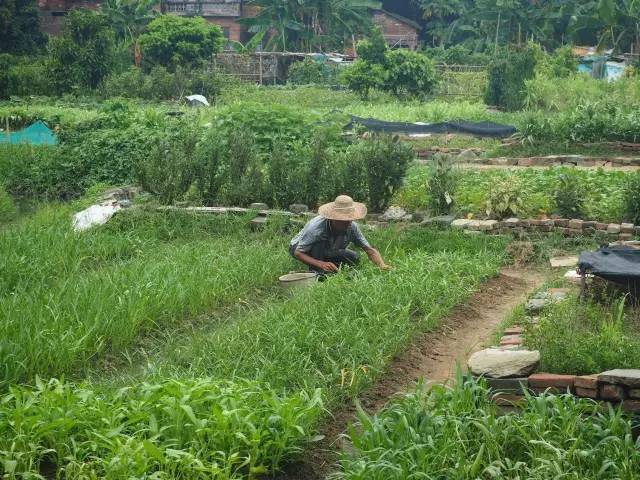 千年古道旁的夏街古村(圖23)