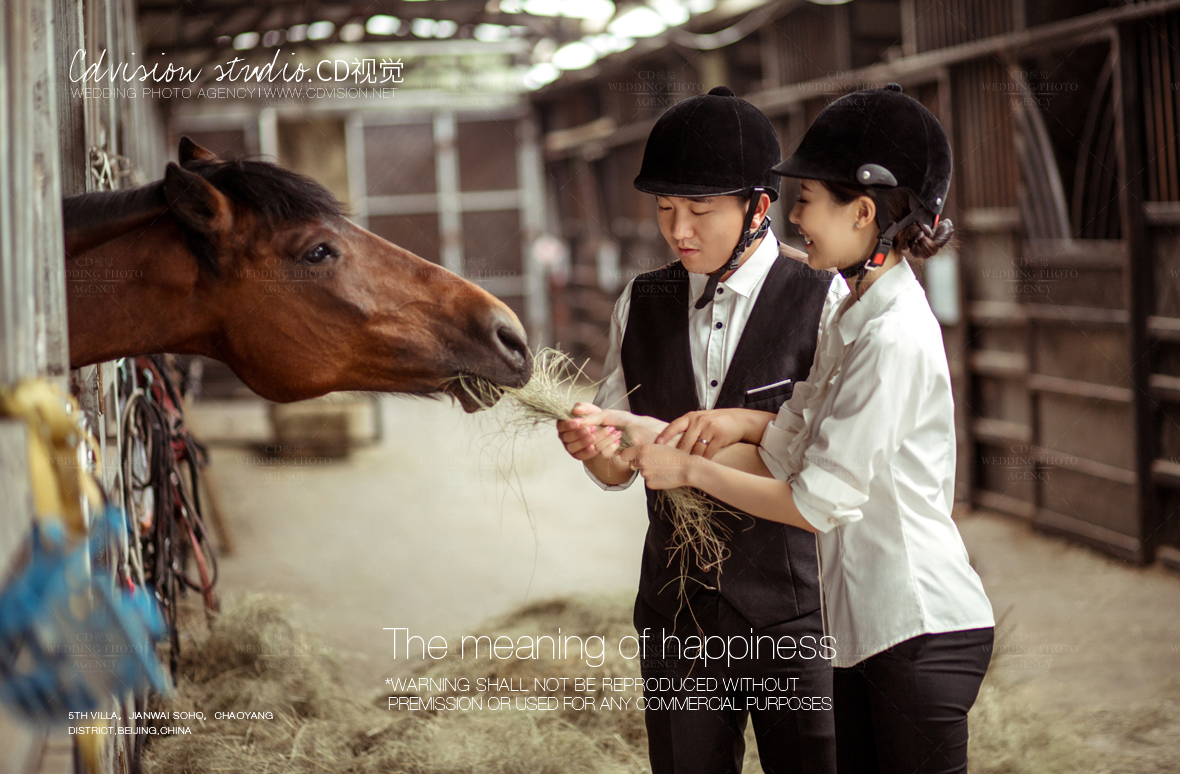 婚纱照马场骑马服_马场婚纱照图片骑马装(2)