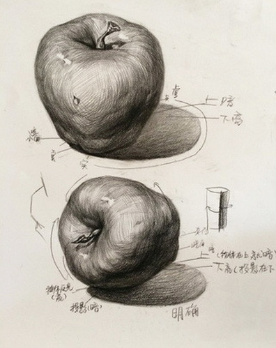 素描静物单个物体刻画