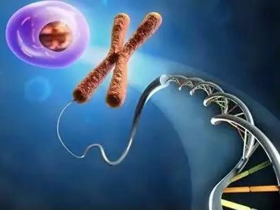 癌症易感基因检测:预测直肠癌患病风险