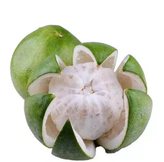 版纳柚上市了,国内唯一能与泰国青柚争锋的柚