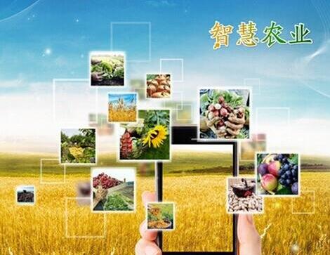 中国智慧农业网:主体模式带动现代农业发展 - 