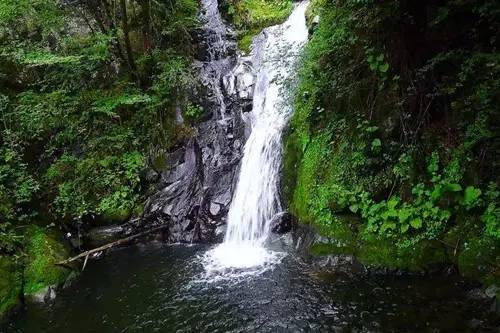 柞水县城区有多少人口(2)