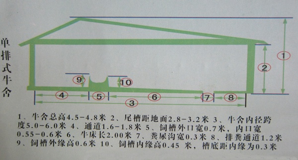 养牛场建设