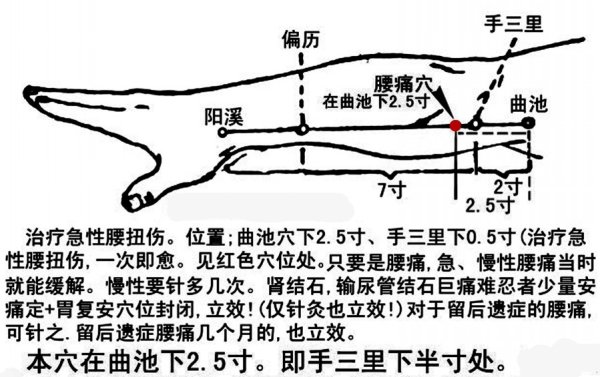 人体三处腰痛奇穴,腰痛按这里马上见效!