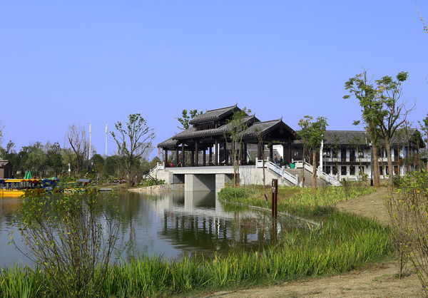 下碑寺乡各村有多少人口_台湾有多少人口(2)