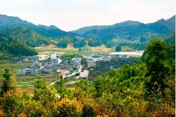 [i·宁德 高山之上的小家碧玉—天湖村