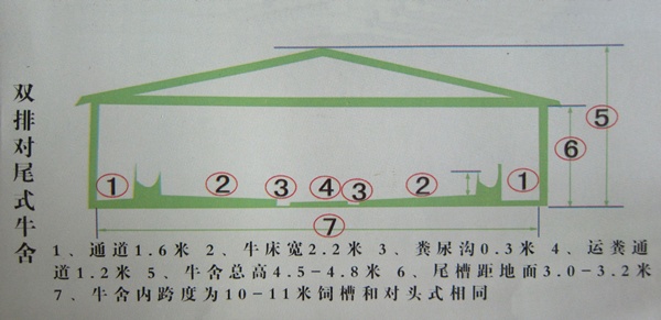 养牛场建设