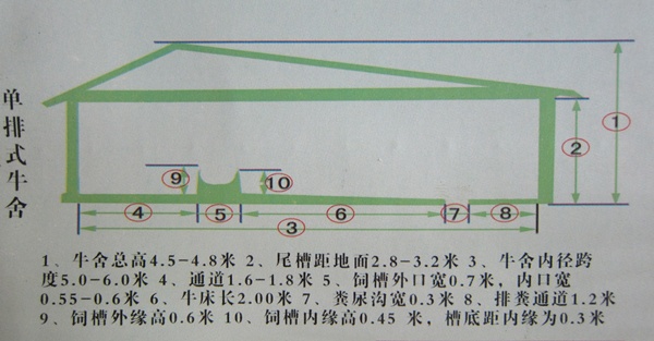 养牛场建设