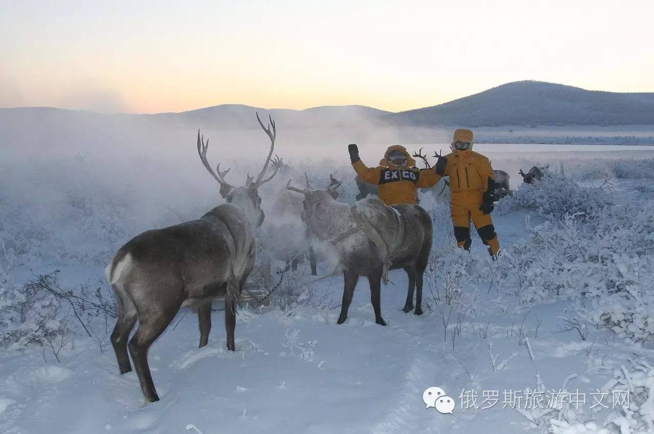 世界上最昂贵的坑在俄罗斯，这真的是好大一个坑-搜狐旅游