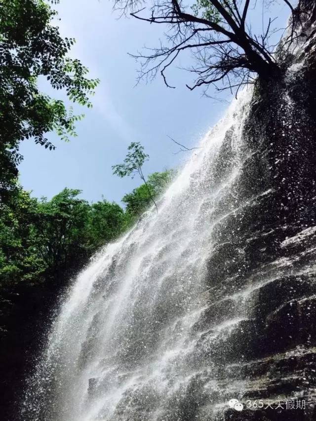 高邑有多少人口_高邑县(2)