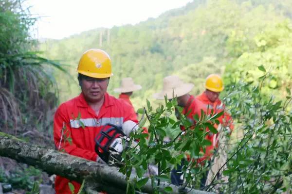 暑运最美铁路人鹰潭工务段焦振军他们的每一步02我们的这一路