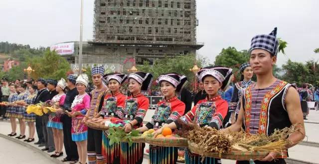 人口较多的民族_少数民族人数最多的省份排名 我国少数民族人口最多民族是壮(3)