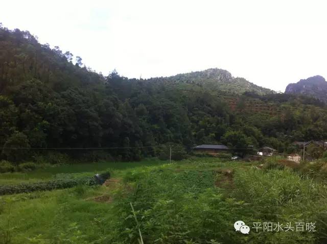 老总去山村_山村风景