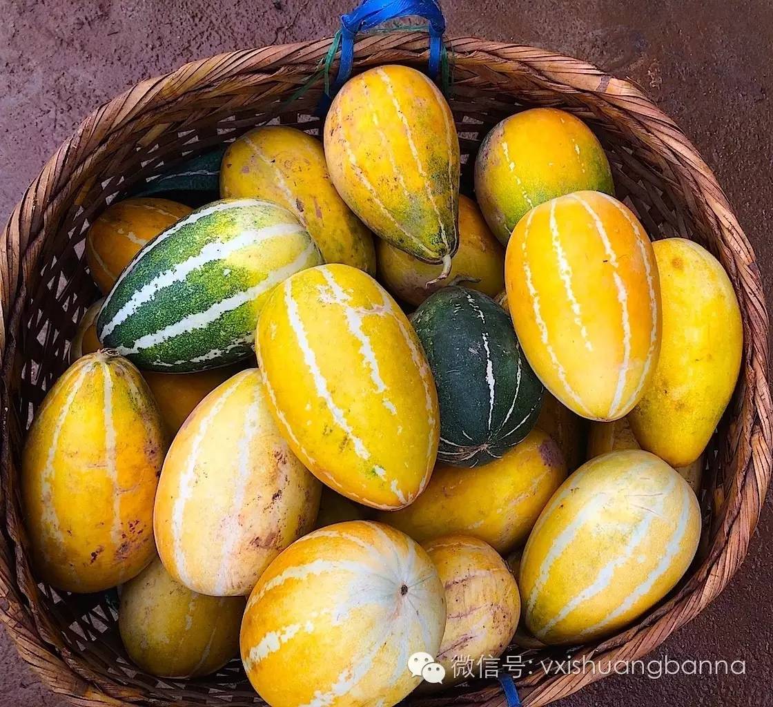 西双版纳当地生长的热带水果及野果（99种）