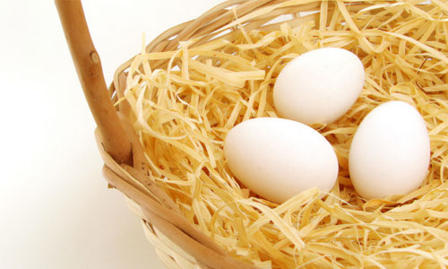 苏州家庭保存鸡蛋的方法 切忌放进冰箱 - 微信
