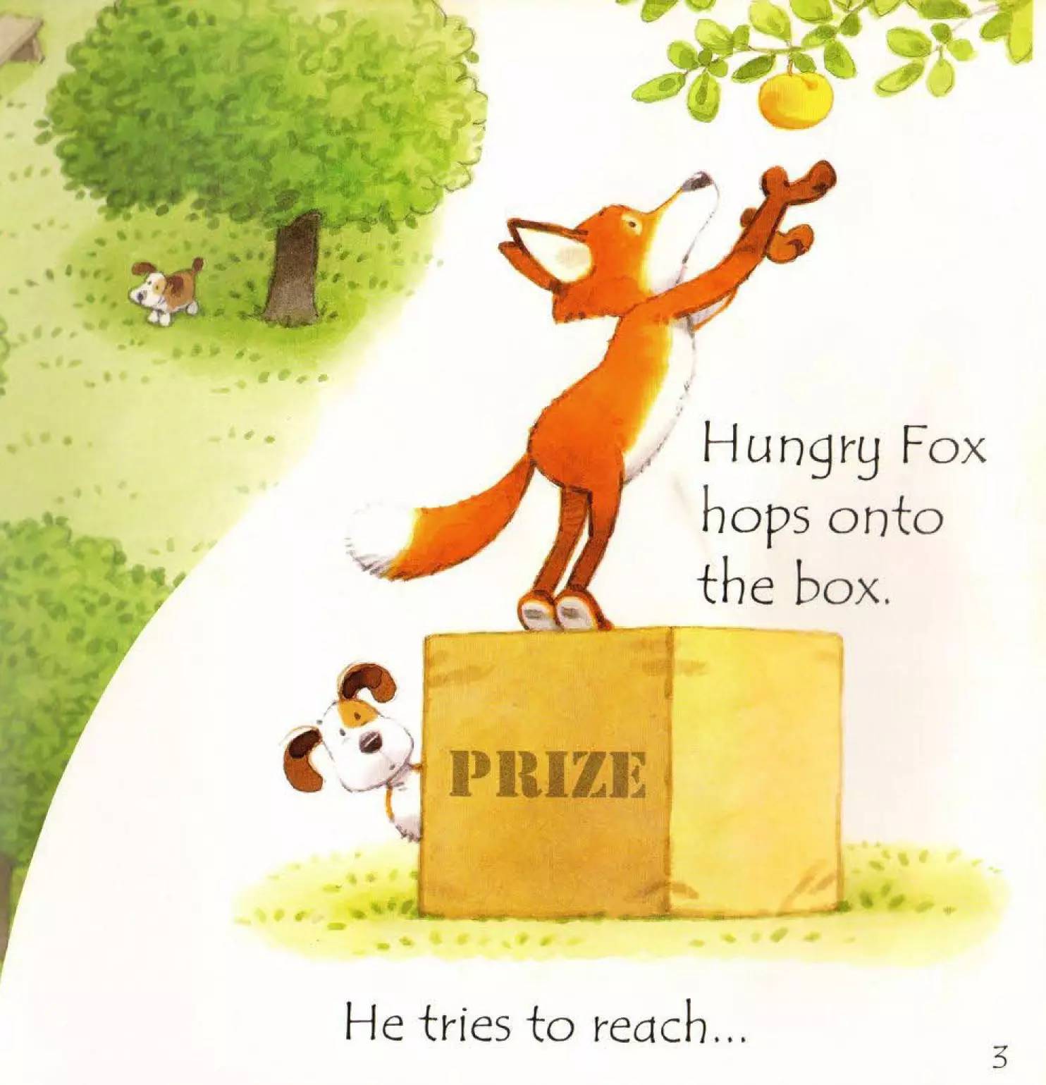 usborne自然拼读绘本?|?fox?on?a?