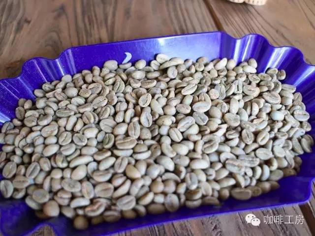 咖啡工房大词典【日晒耶加aricha】精品咖啡豆