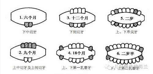 宝宝出牙晚一定是缺钙了吗?