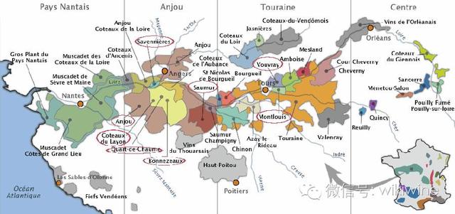 卢瓦尔河谷 10 大知名白诗南产区