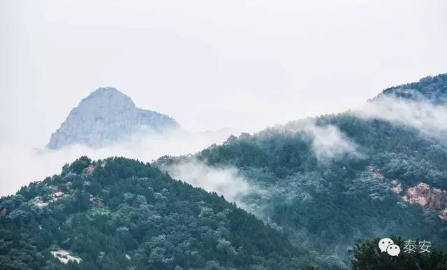 50个摄影机位完美记录雨后"泰山腰玉"奇观!(千年难遇,转起来!