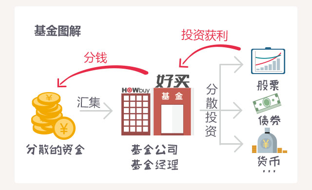 欧美人口财富比_云南少数民族人口占比