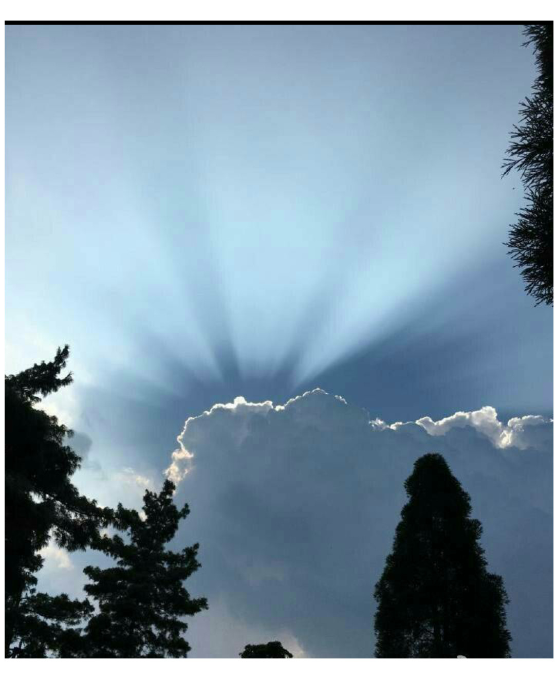 (实拍昆明云彩)很多市民被这一景观吸引,纷纷拍照,认为是祥瑞降临