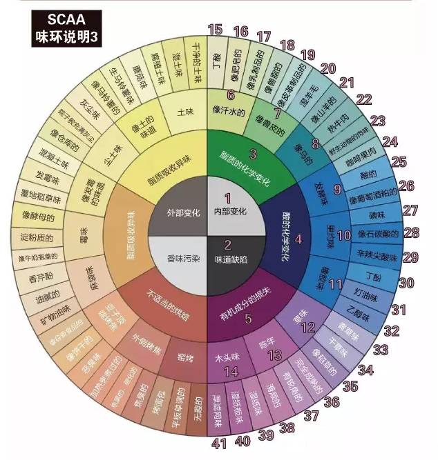 咖啡风味轮新旧版对比